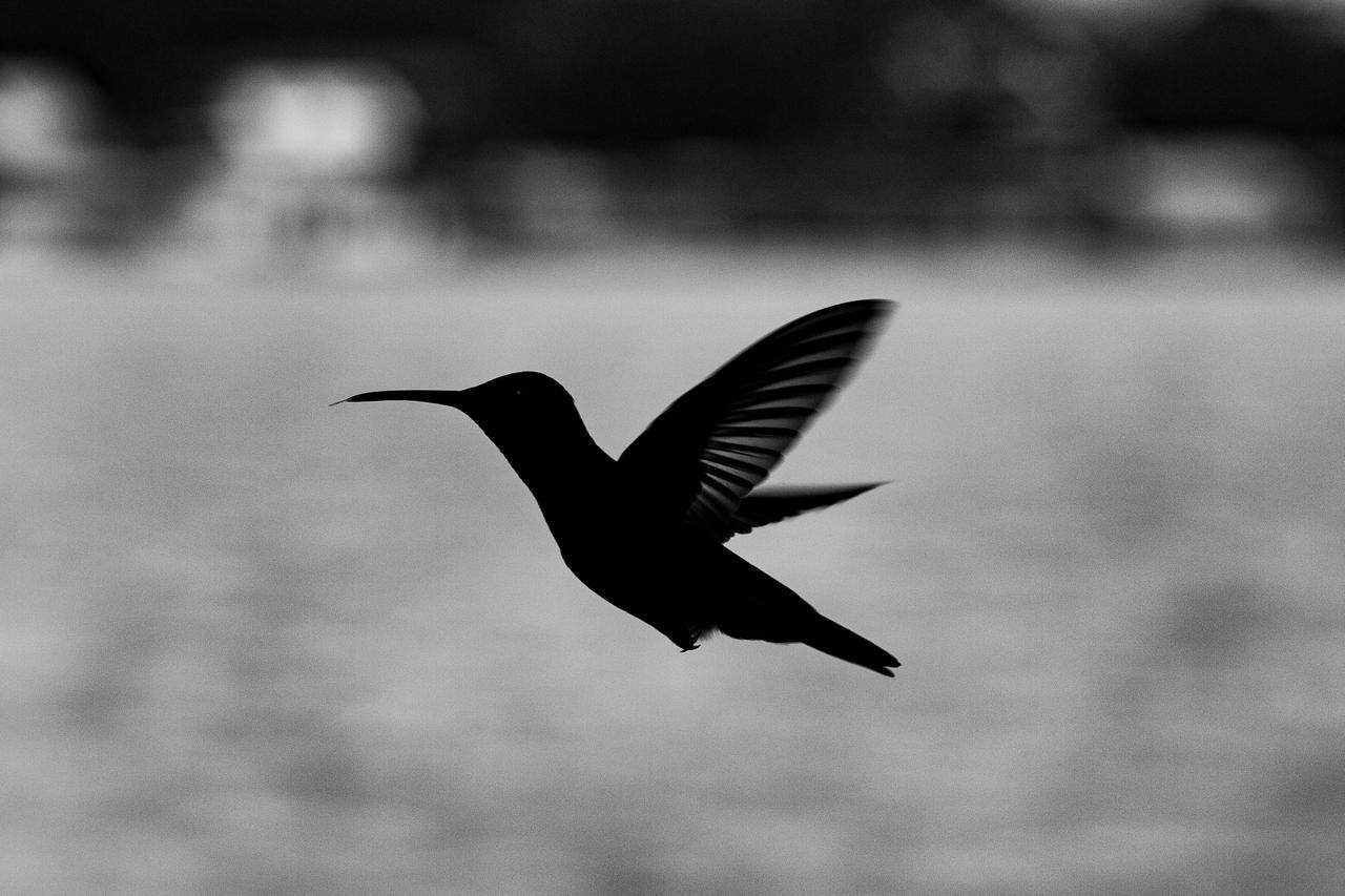 Barrbra Bnb Over The Sea Bocas del Toro Exteriér fotografie